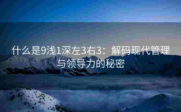 什么是9浅1深左3右3：解码现代管理与领导力的秘密